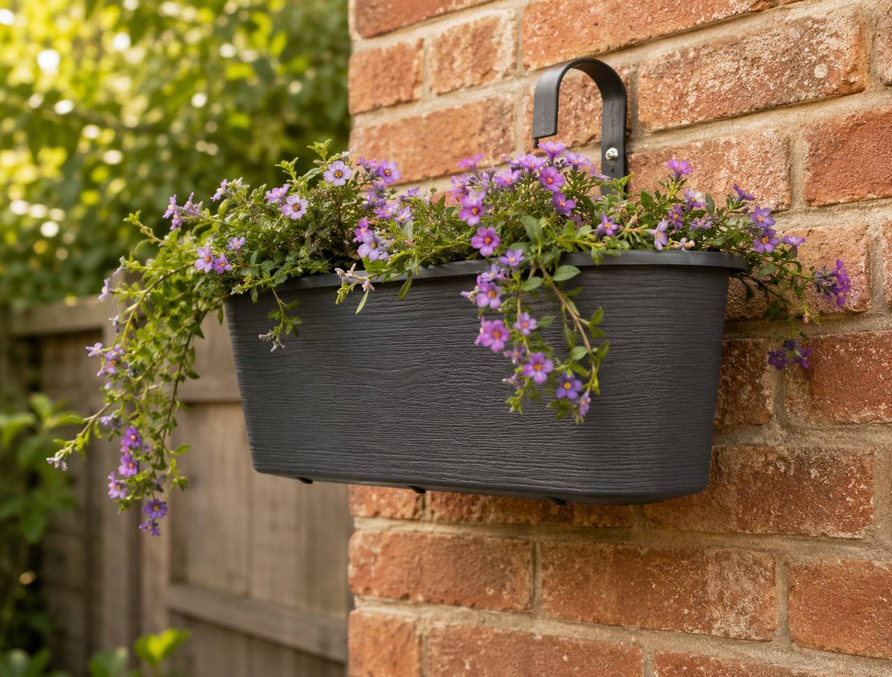 Hanging Planters