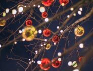 Fairy lights
