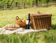 Picnic and on-the-go