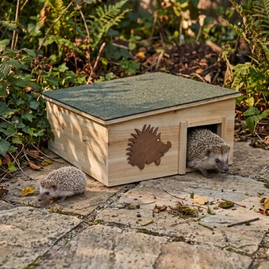 Wooden Hedgehog House
