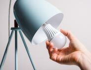 LED light bulbs