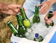Cooler boxes & bags