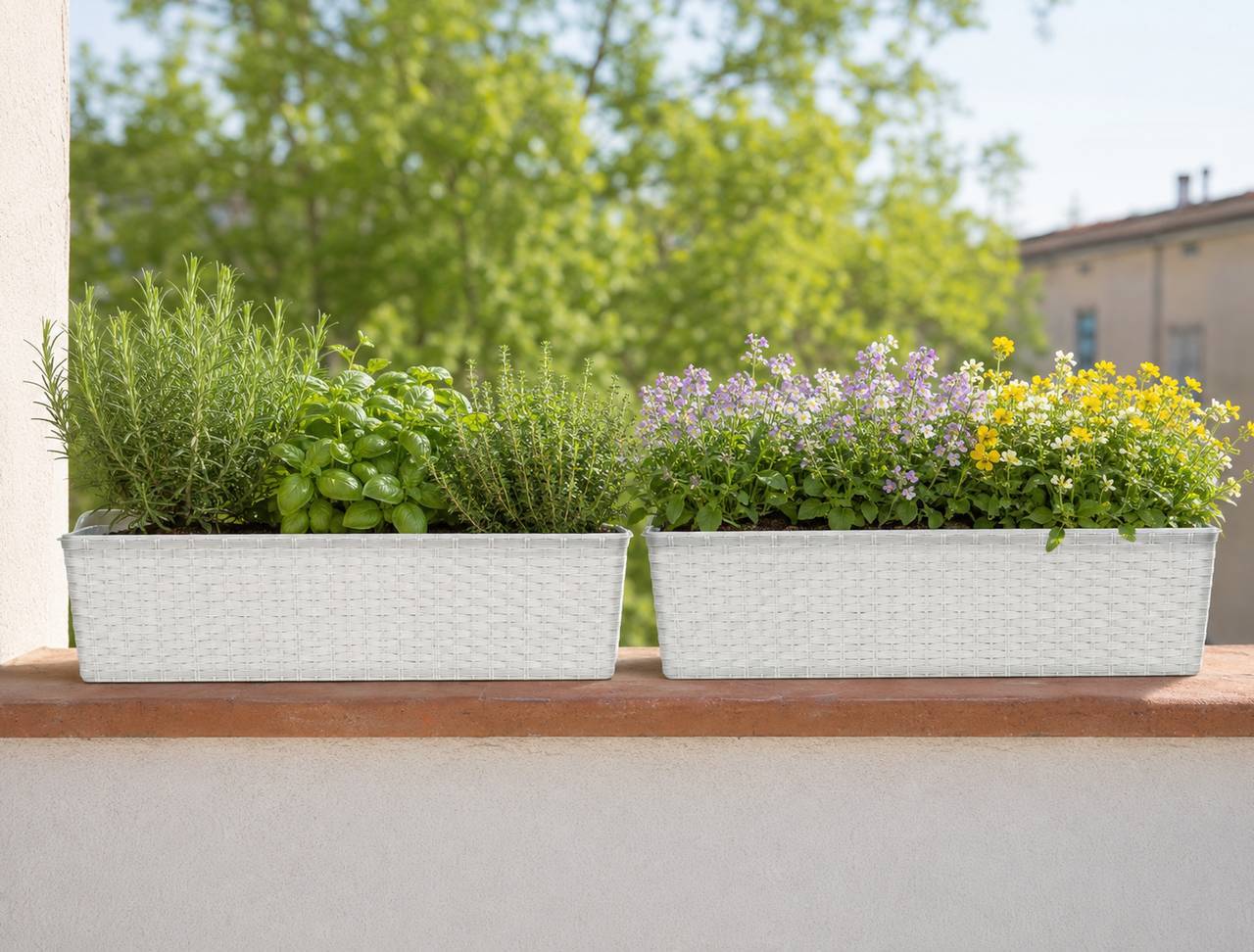 Planter Boxes