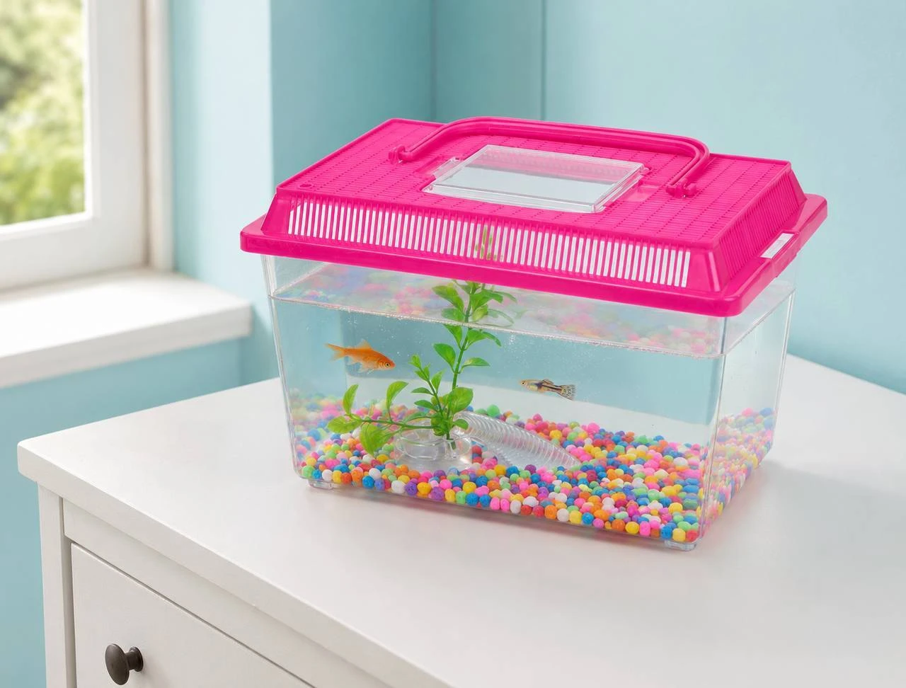 Fish & Aquatic Supplies