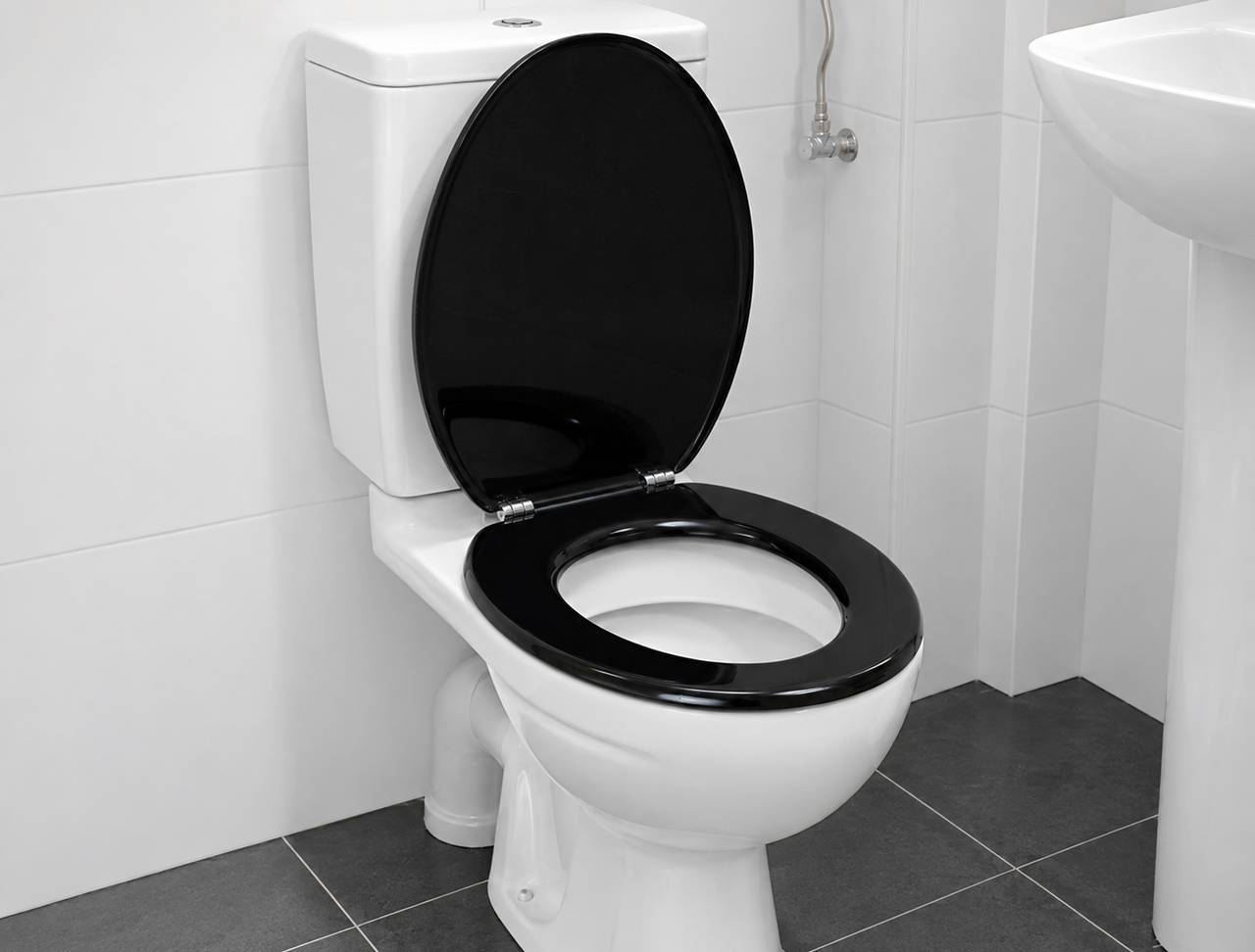 Toilet Seats