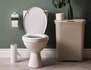 Toilet seats & other bathroom accessories