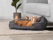 Cat Beds