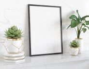 Display shelves & picture ledges