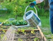 Watering cans