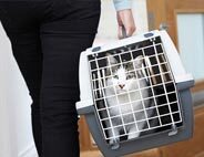 Cat Carriers