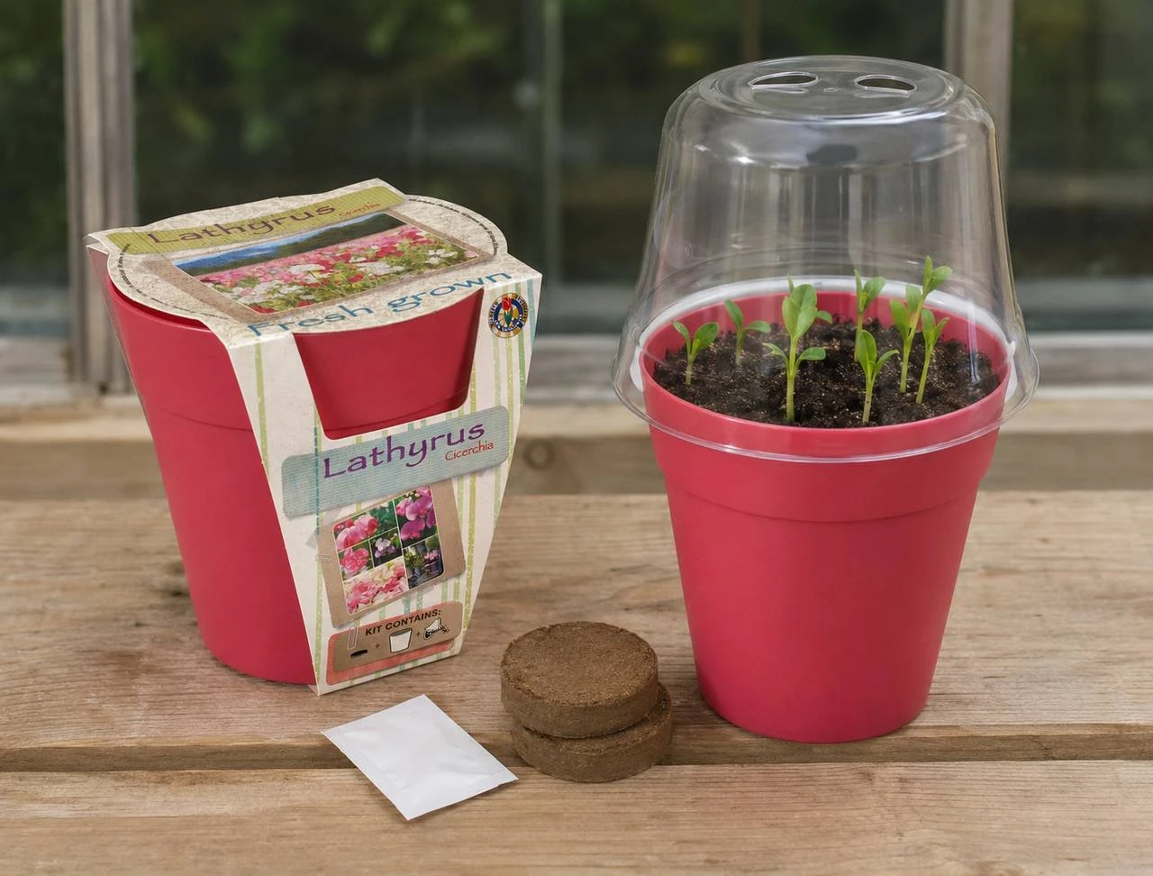 Greenhouses & Propagators