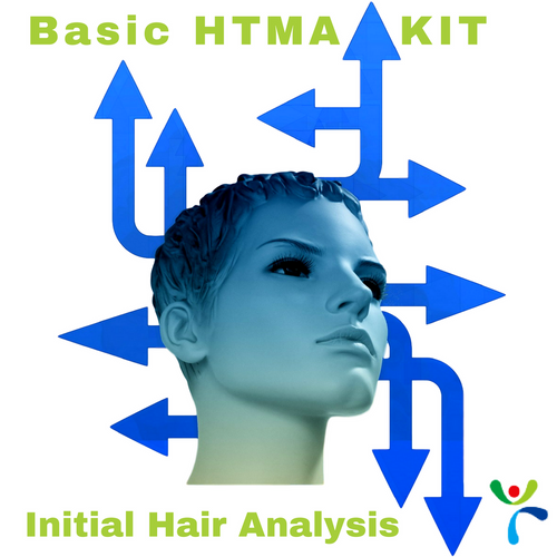Basic Hair Tissue Mineral Analysis - Initial Test at Wellness Shopping Online