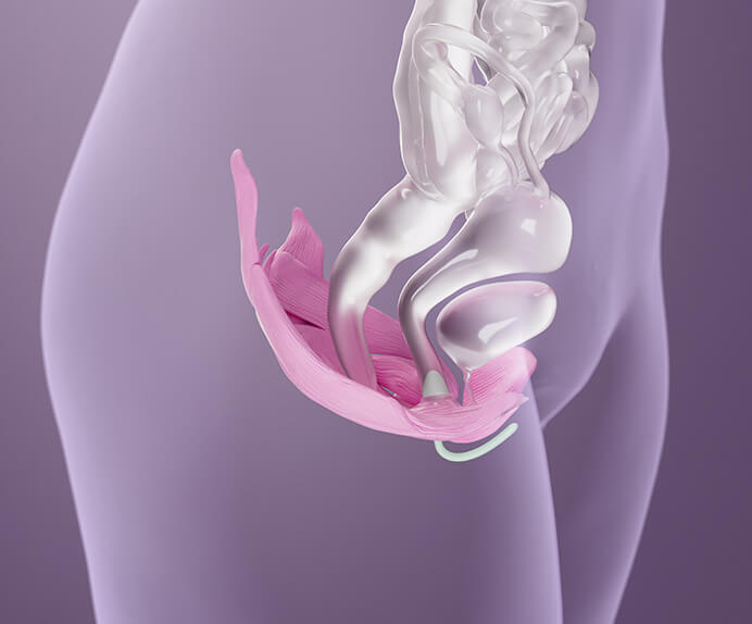 A woman lying down on dark plum-coloured bedding, seen from above. She is holding a phone up in one hand. Graphics of her pelvic floor muscles are superimposed over her pelvic area, with an Elvie trainer in the vaginal area of the graphic