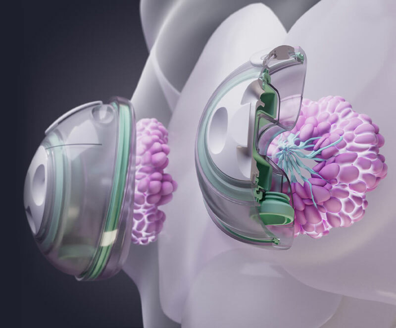 A 3D graphic of a woman's breasts, translucent so the inner milk glands and ducts are visible. An Elvie Stride pump is shown on each breast