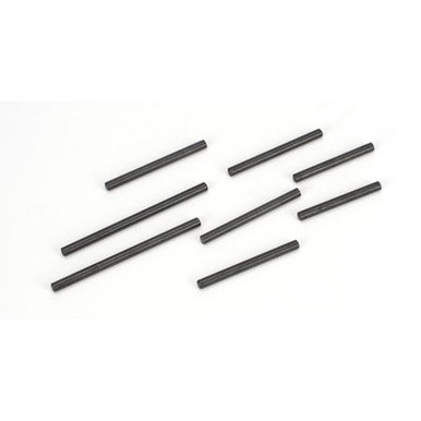 ECX Hinge Pin Set