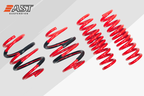 AST ASTLS-01-001 Lowering Springs, BMW 2 Series M2 Coupe G87
