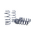 H&R 29439-2 Sport Spring, Volkswagen Jetta Wagon VR6 / TDI / 1.8T MK4 2001–2005