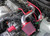 Injen 97-99 Camry 4 Cylinder Polished Short Ram Intake