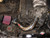 Injen 91-95 Legend (non-TCS equipped vehicles) Polished Short Ram Intake