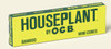 Houseplant OCB Bamboo cones