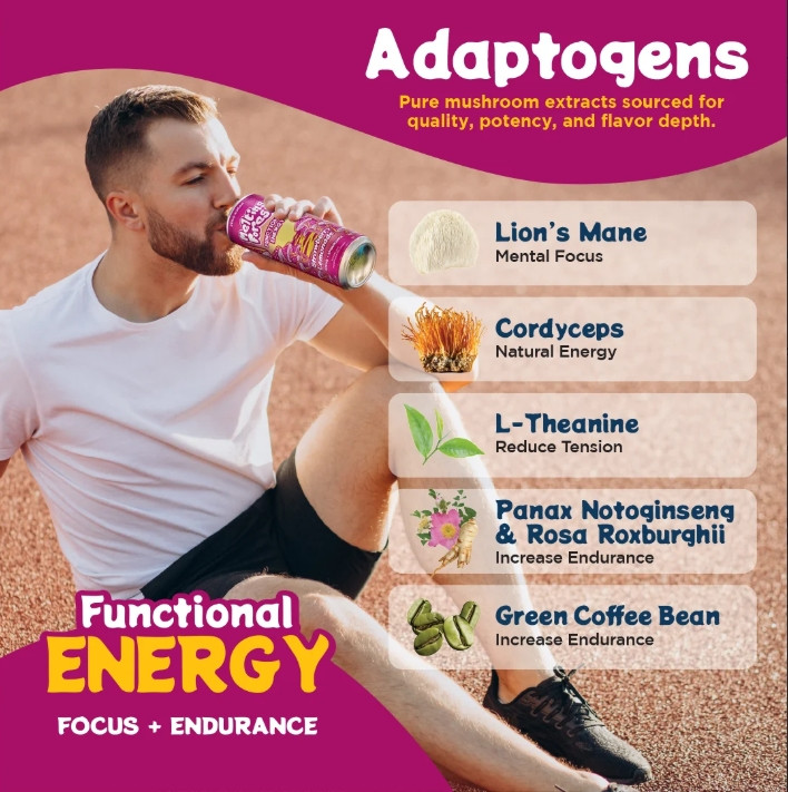 Mushroom Energy drink