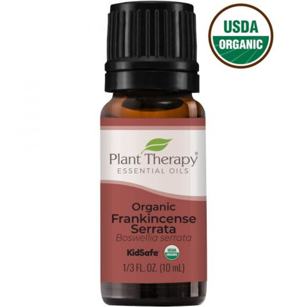 Organic Frankincense Serrata Essential Oil