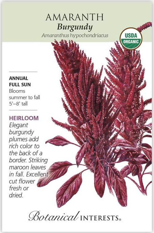 Botanical Interests Amaranth Burgundy Organic
