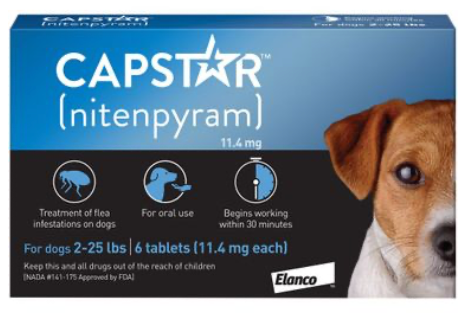 capstar blue for cats