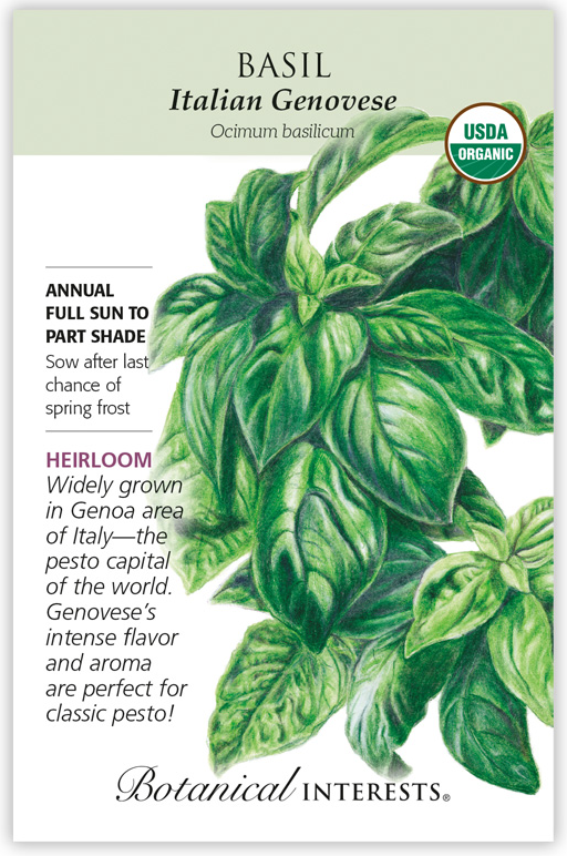 Botanical Interests Basil Italian Genovese Organic Seeds