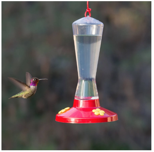 hummingbird feeder supplies