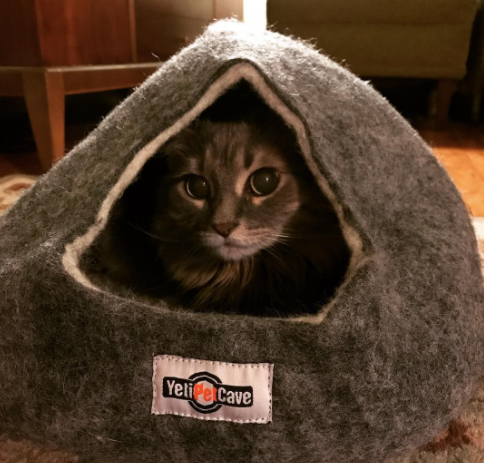 yeti cat cave