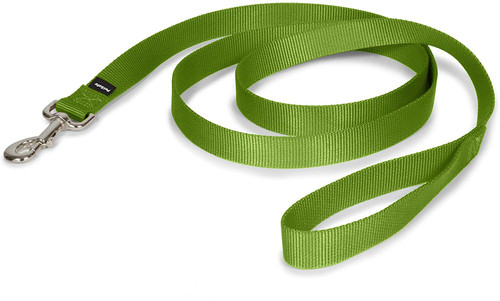PetSafe Nylon Dog Leash, Strong and Durable Traditional Style Leash with Easy to Use Collar Hook, Available in Multiple Widths and Colors
Color:Apple Green
Size:1 in. x 6 ft.