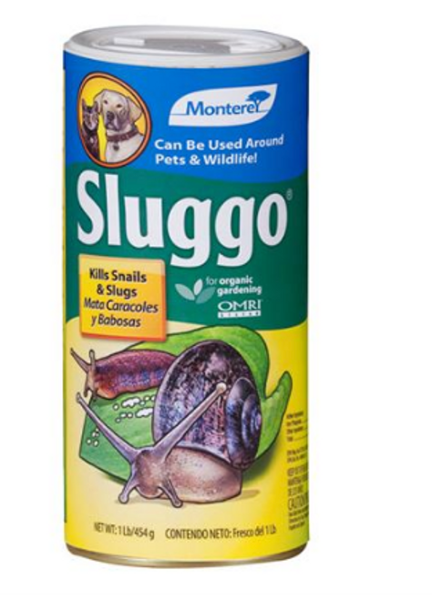 Monterey Sluggo Shaker Can 1#