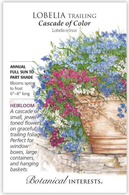 Cascade of Color spills over the edge of patio containers or hanging baskets to soften and complement the entire arrangement. This densely flowering beauty will grace your flower bed with blossoms of blue, blue with a white eye, lilac, red, ruby, and white.
