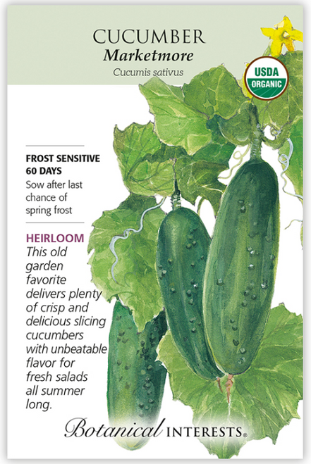 Introduced in 1968 by Cornell University, 'Marketmore' is a beautiful, dark green cucumber that's ready to pick when 6"–8" long. Fruits keep their size and shape even under poor weather conditions unlike other varieties that may curl and become misshapen. The 4'–6' long vines continue to produce with regular picking. Disease resistant.