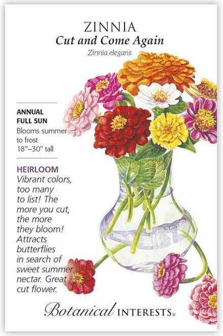 Cut these old-fashioned blooms for your bouquets, and flowers will "come again" producing continuously until fall frost. Long-lasting 2"–2 ½" blossoms on heat-loving plants supply endless color for your flowerbeds, containers and borders. Each individual flower lasts a very long time on the plant, and in the vase before fading.
