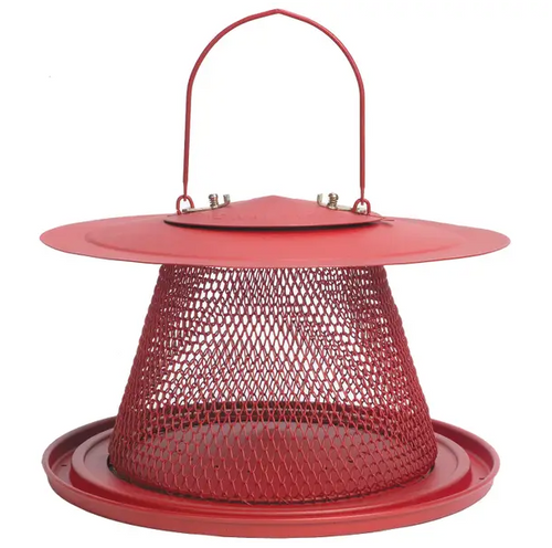 No No Cardinal Feeder No No Cardinal Feeder
