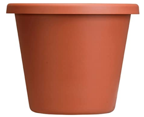 Akro Mills Classic Clay Color Plastic Pot 12"