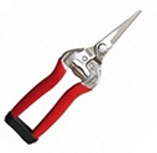 *******Terrebonne Straight Shear Pruner