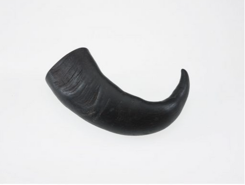 Aussie Water Buffalo Horn Medium Dog Chew