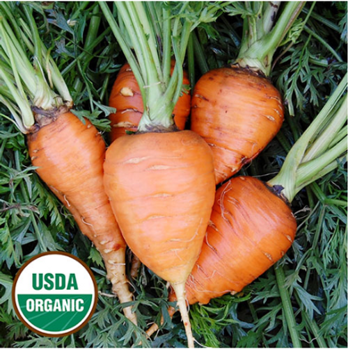 Seed Savers Carrot Paris Market Organic