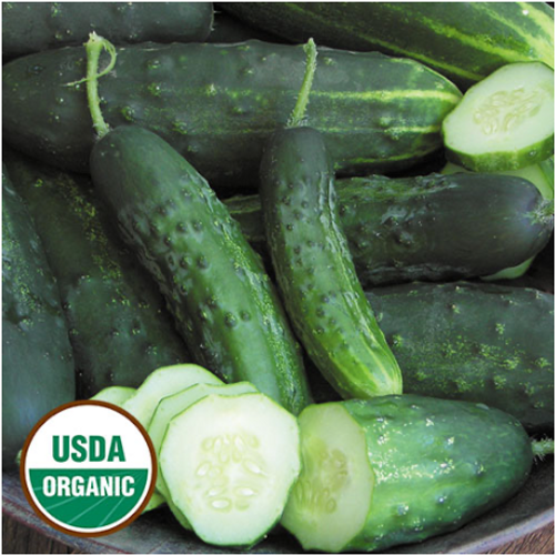 Seed Savers Cucumber Early Fortune Organic