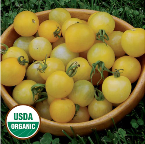 Seed Savers Tomato Lemon Drop Organic
