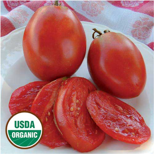 Seed Savers Tomato Amish Paste
