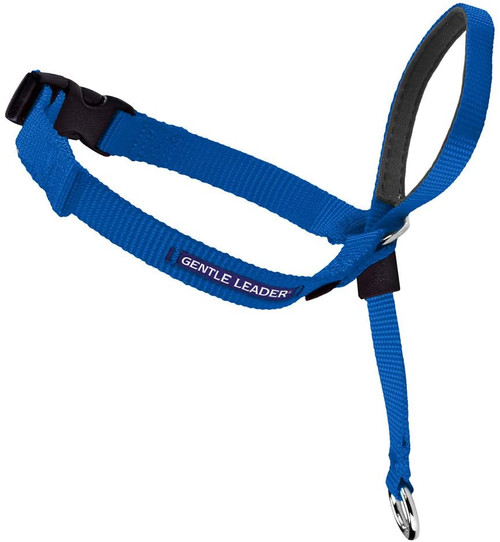 Dog - Dog Supplies - Training - Growing Trade Pet & Plant