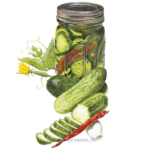 Making pickles at home is easy with 'Homemade Pickles'.