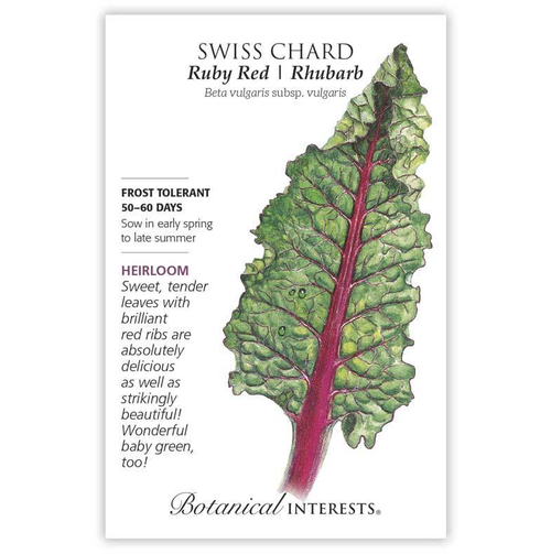 'Ruby Red' chard will beautify your garden as well as your plate! An 1850s vigorous grower with a long growing season, it will provide fresh greens from early summer into fall, and year-round in mild climates.