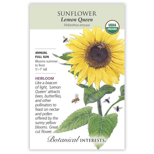 Botanical Interests Sunflower Lemon Queen Organic Botanical Interests Sunflower Lemon Queen Organic