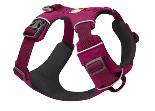 The Front Range Harness is a padded everyday dog harness that is easy to put on and comfortable for dogs to wear.