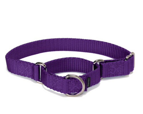 PetSafe Dog Martingale Collar P 3/8" Purple